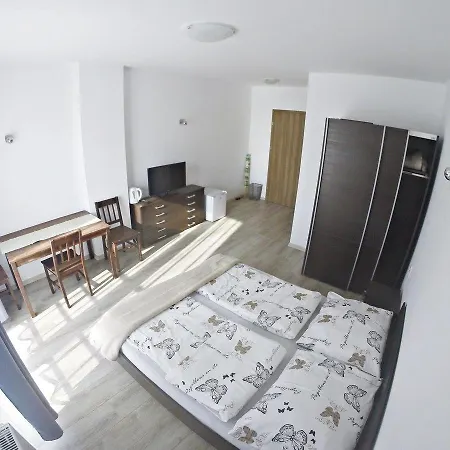 Goscinne Coloseum Homestay *
